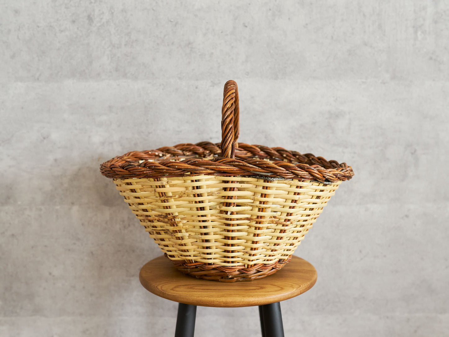 Oval Basket One Handle / Willow × Caña / ESP 610601-1