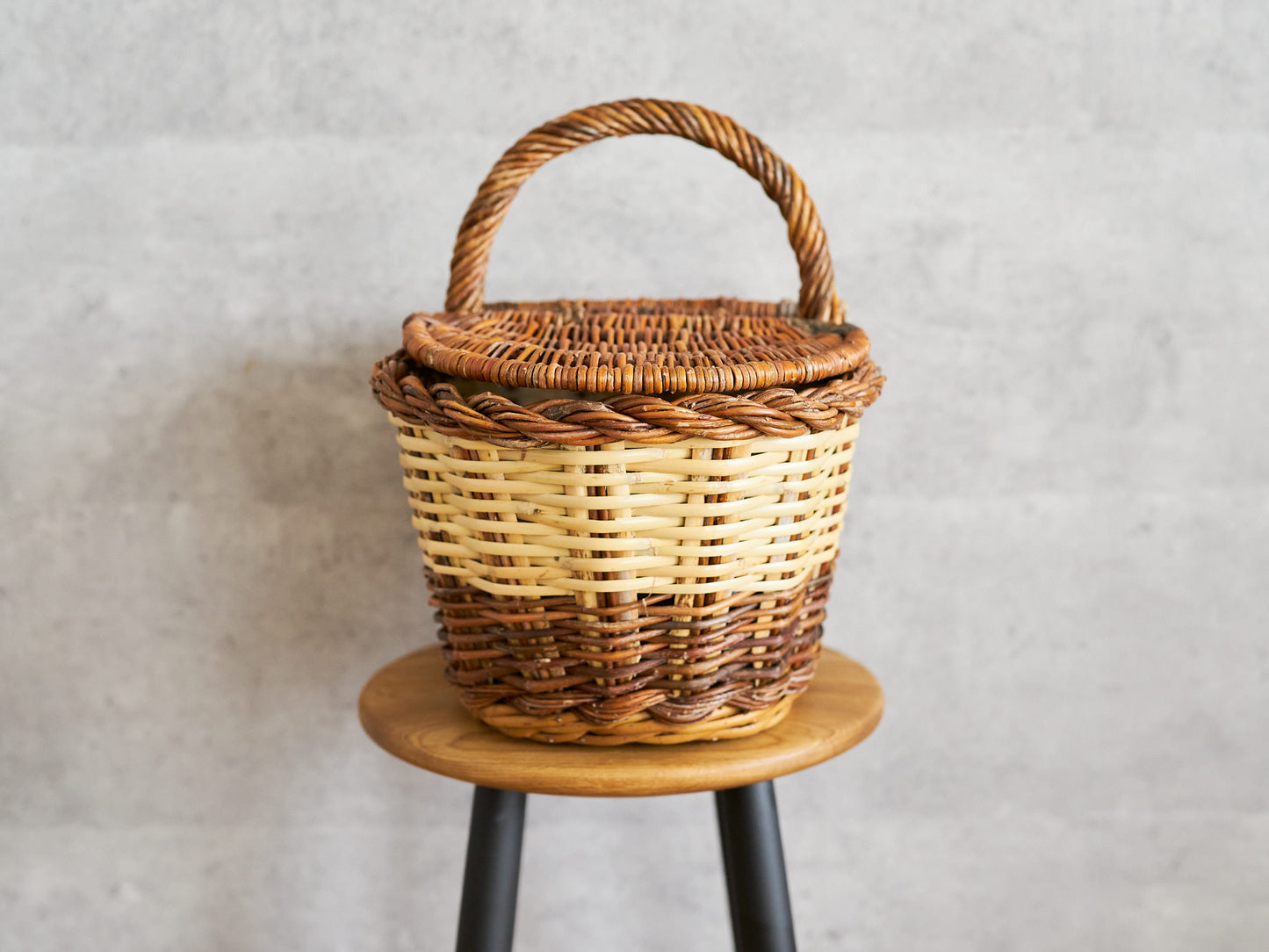 Picnic Basket with Lid / Willow × Caña / ESP 610602-1