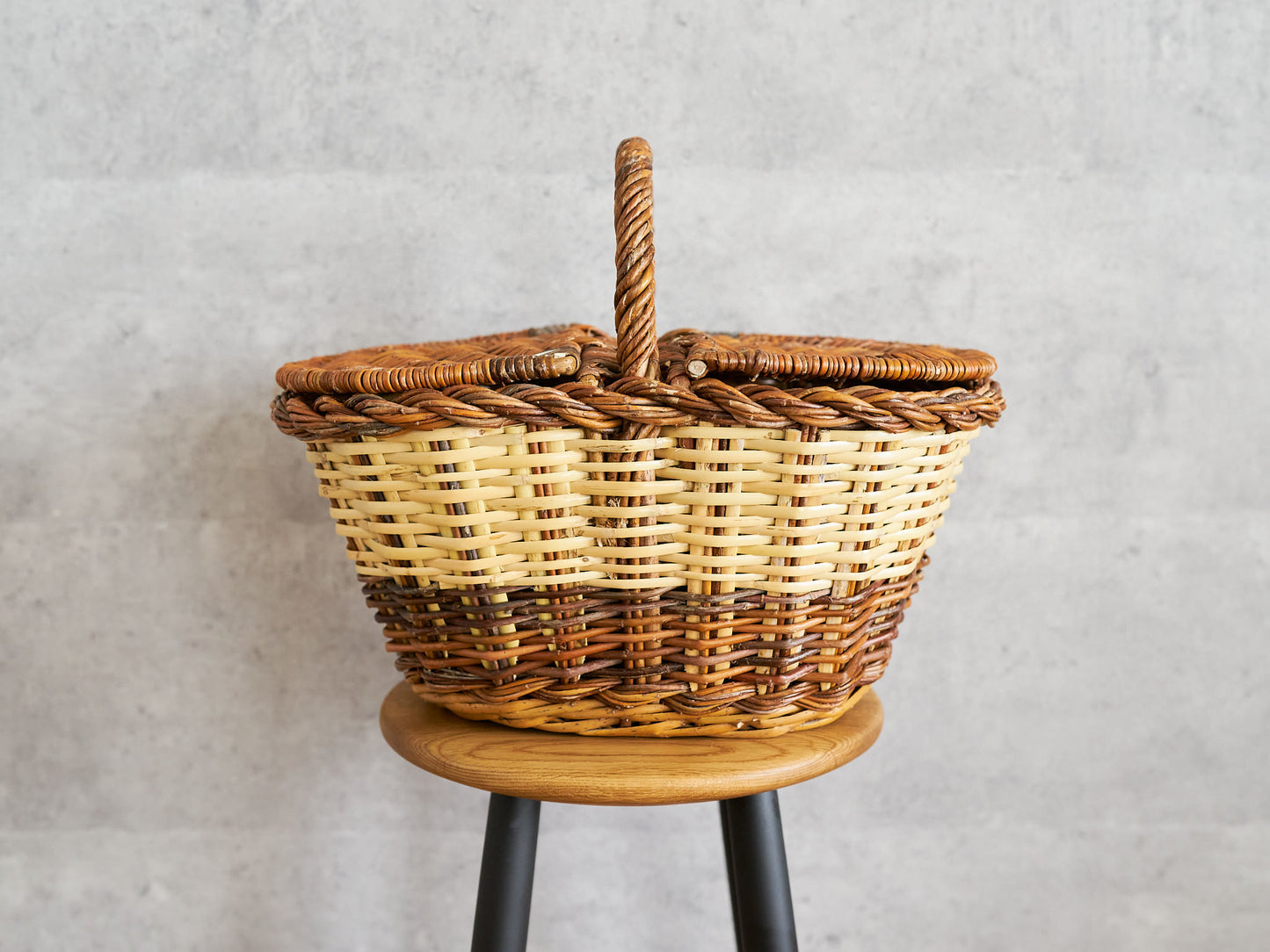 Picnic Basket with Lid / Willow × Caña / ESP 610602-1