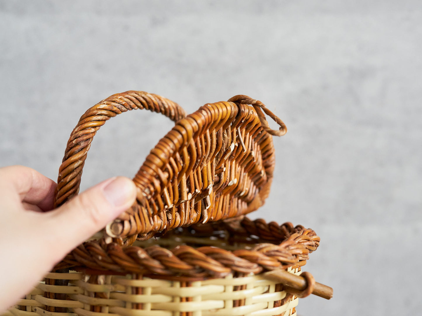 Rabbit Basket Mini / Willow × Caña / ESP 610604-1