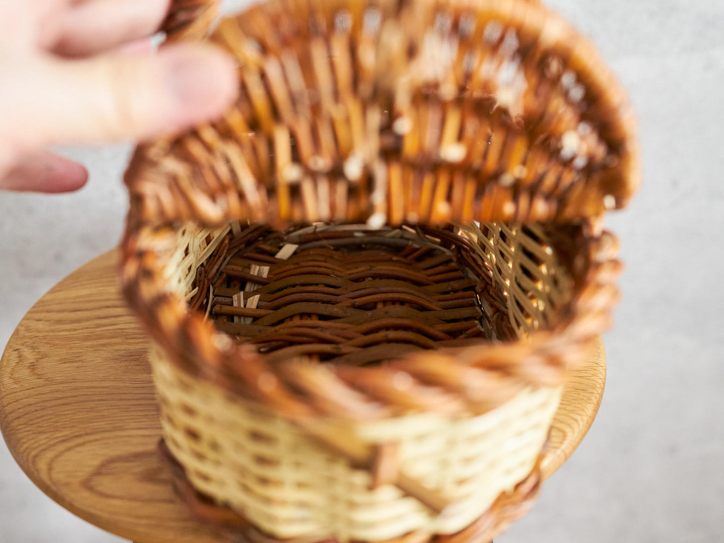 Rabbit Basket Mini / Willow × Caña / ESP 610604-1