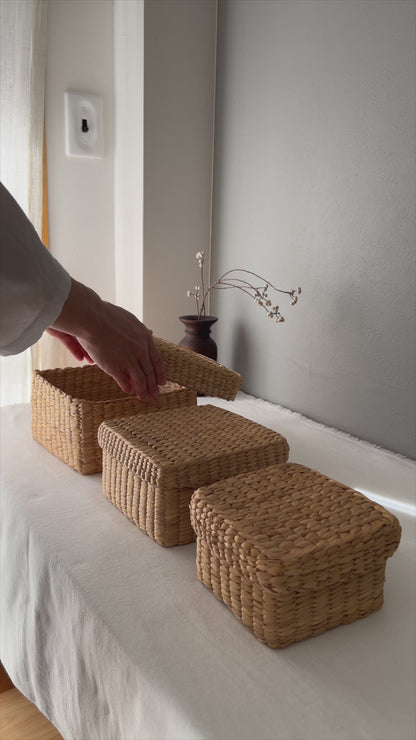 タイ/ウォーターヒヤシンス　スクエアボックス　蓋付き　S・M・L　3サイズ 3115211