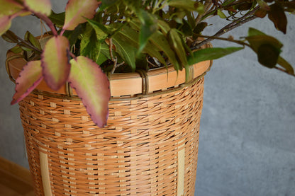 Flower basket "Sēkai-Chakago" / Madake bamboo / Ōita-JPN 220627-1